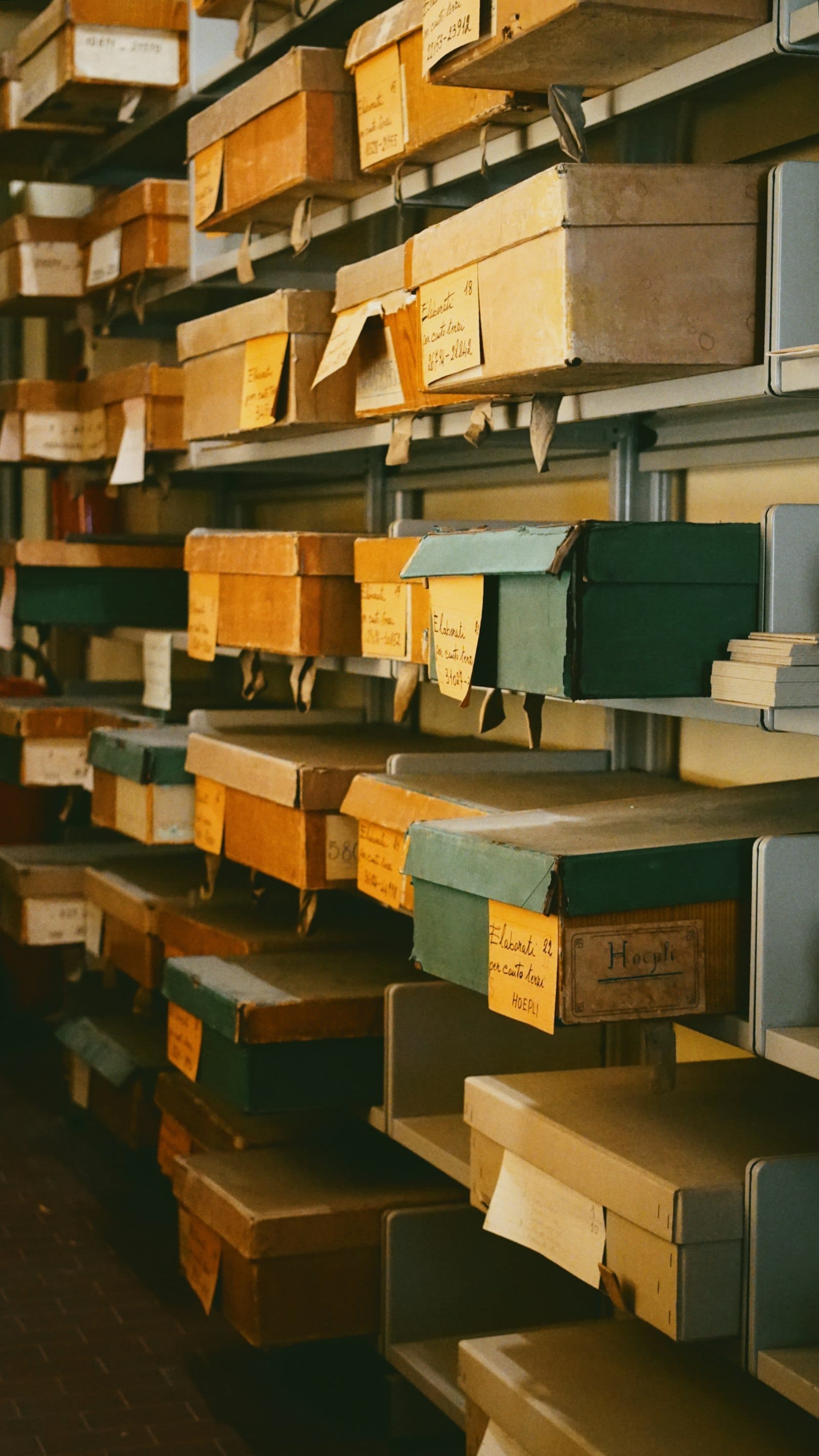 Shelves of labeled archive boxes lined up like a directory of named sections