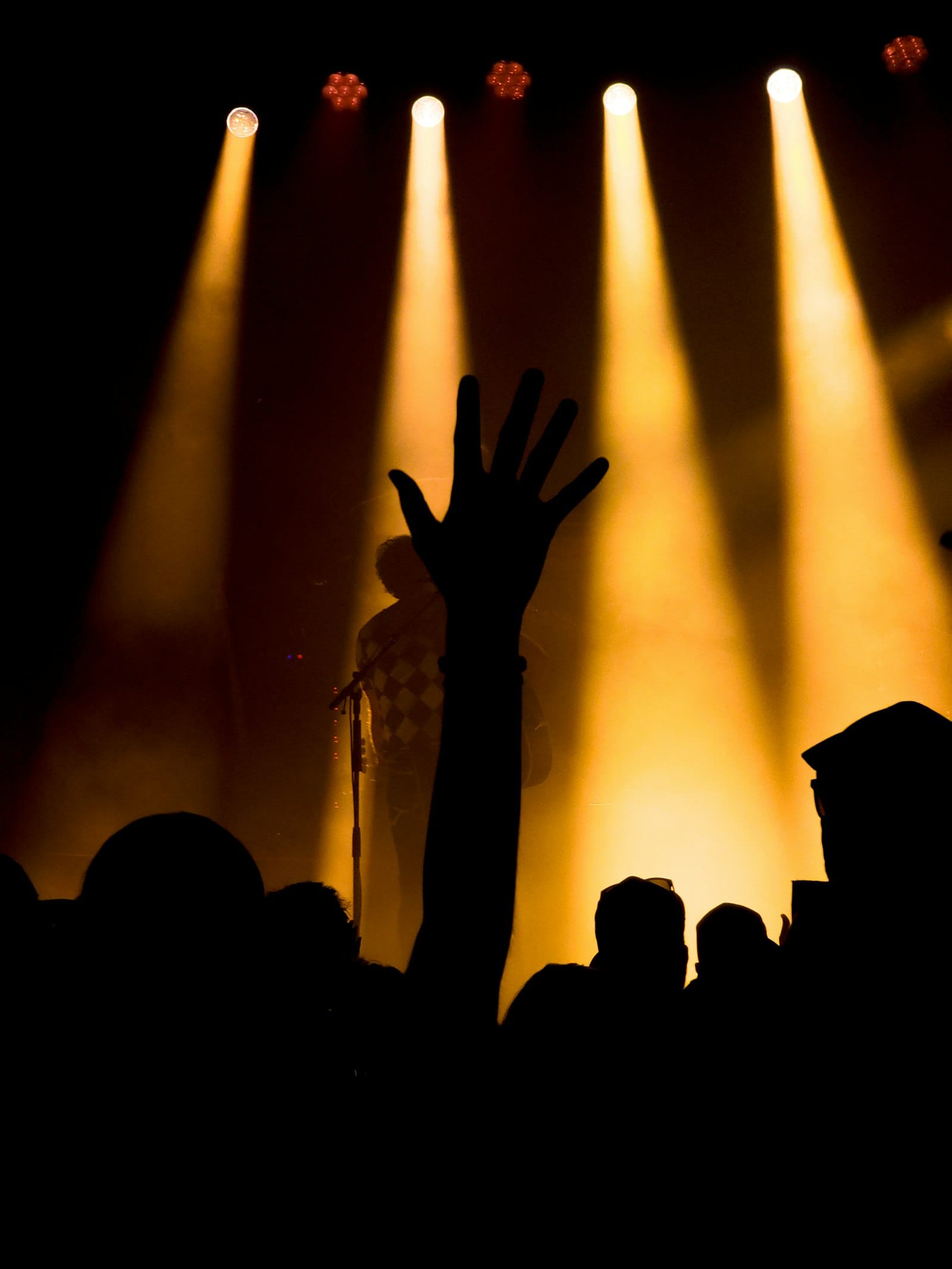 Concert crowd silhouette with a raised hand under stage lights