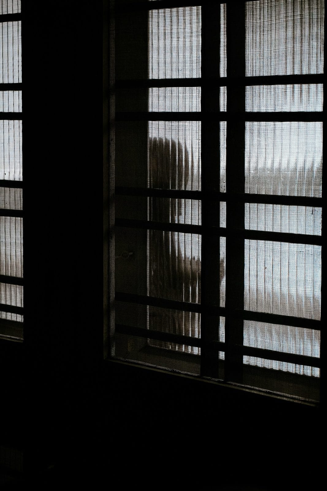 A blurred figure behind a frosted, gridded window in a dark room